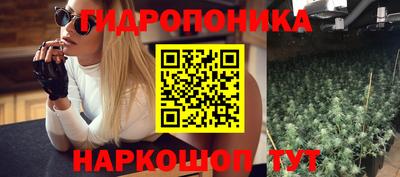 jwh Братск