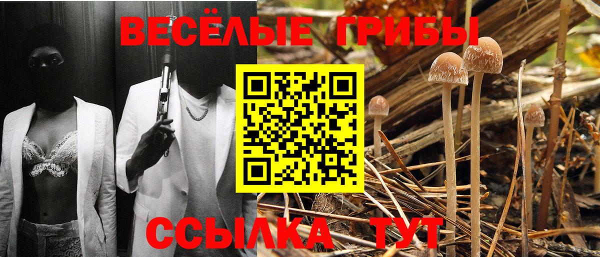 Галлюциногенные грибы мицелий  Псилоцибиновые грибы Magic Shrooms  Вход с VPN  Павловский Посад 