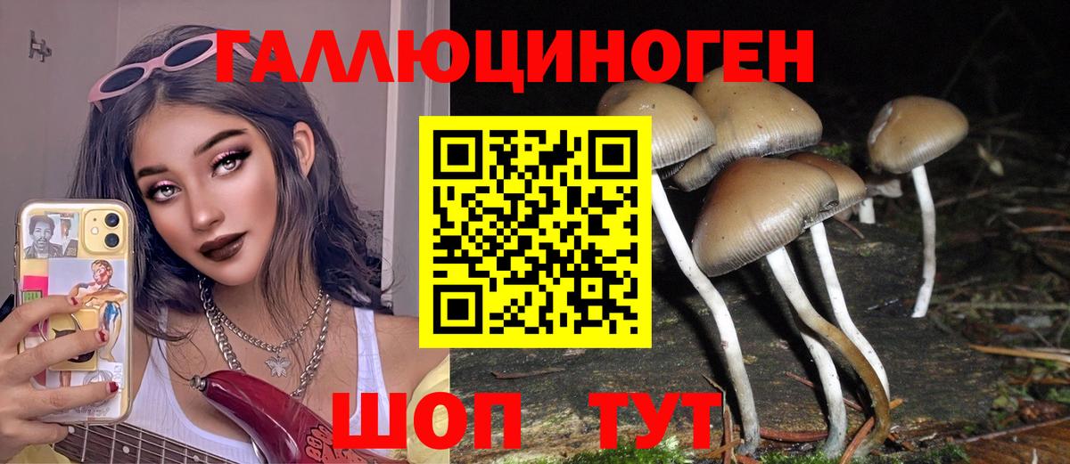 Галлюциногенные грибы MAGIC MUSHROOMS Павловский Посад